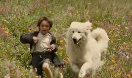 灵犬雪莉2在线观看,守护者传奇再续